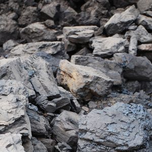 Coal Fields in India